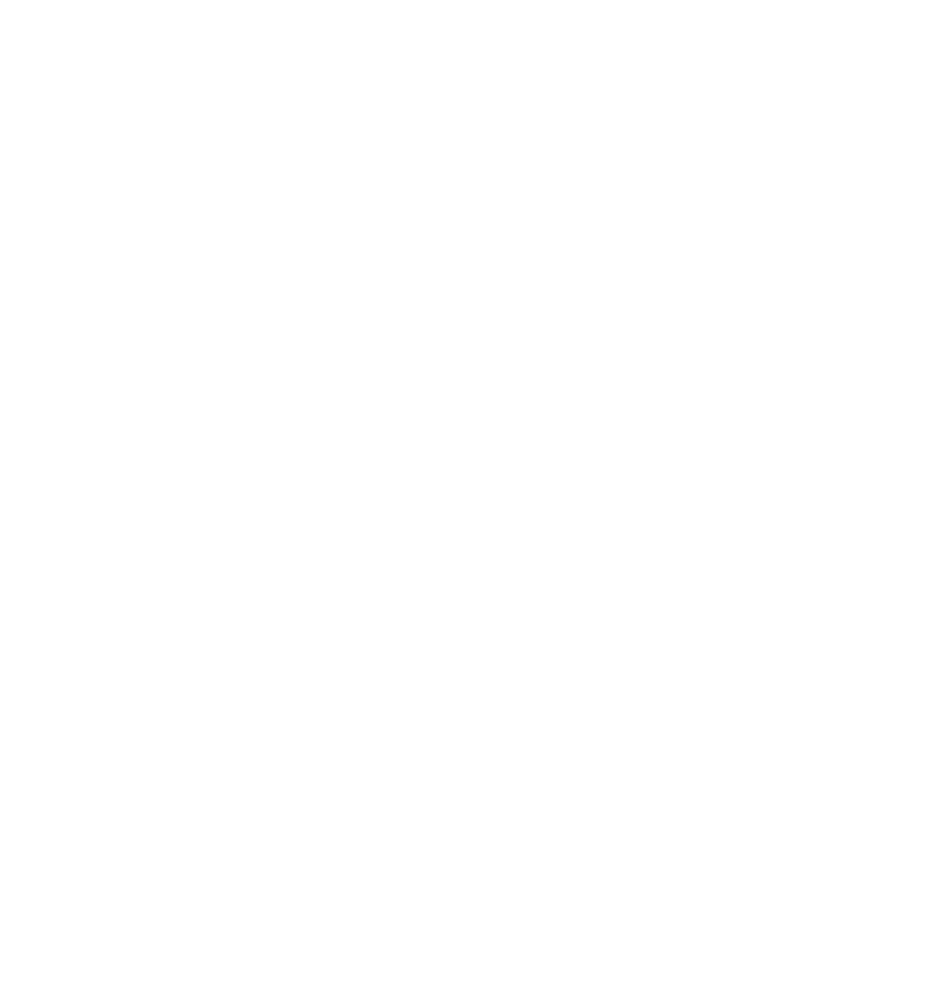 My Beloved Cat